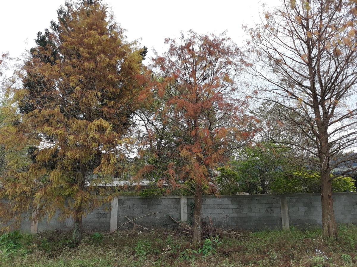 63Inn庭園民宿 Pinghe Exterior photo